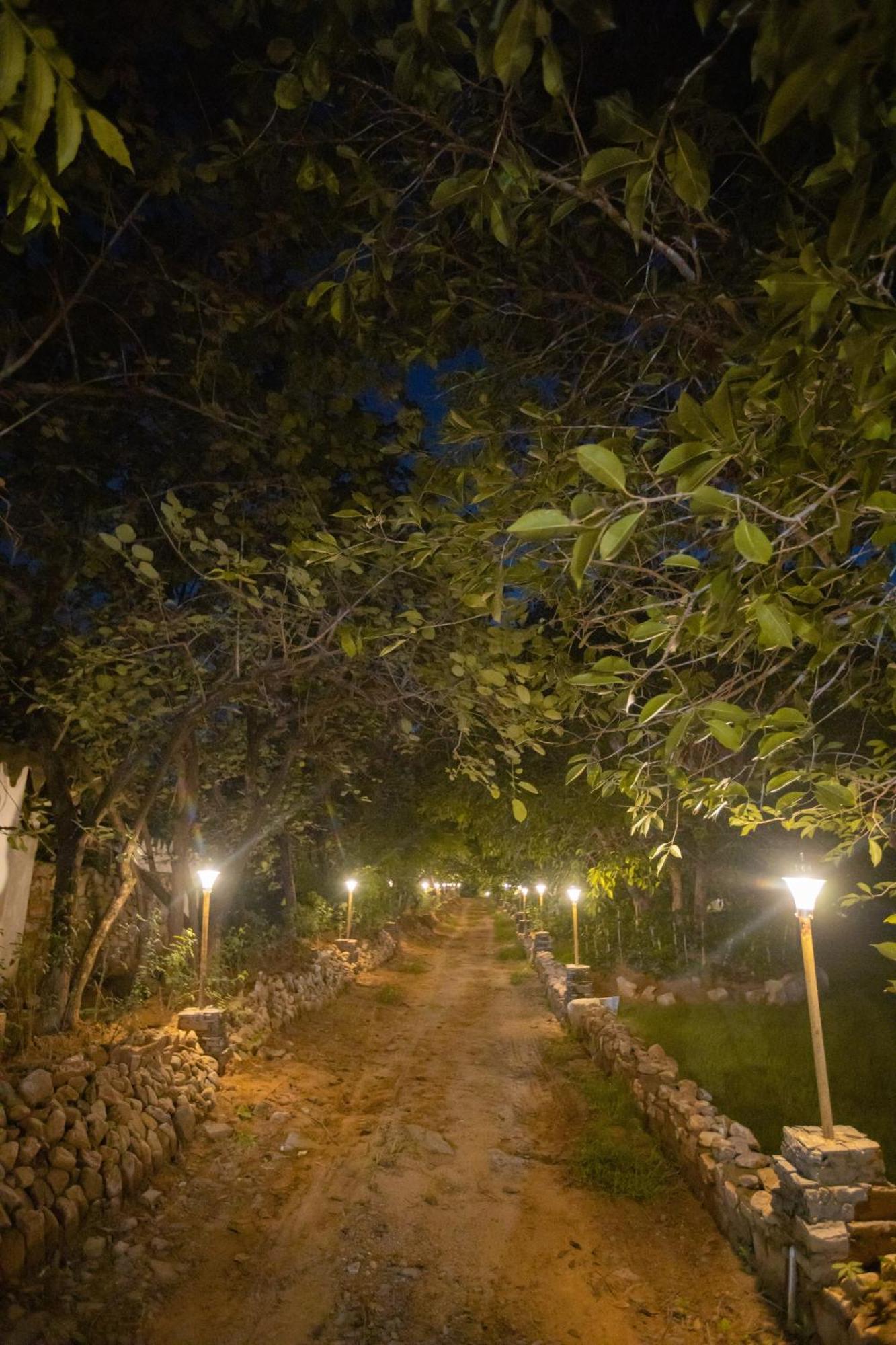 Nature Village Resort Πουσκάρ Εξωτερικό φωτογραφία